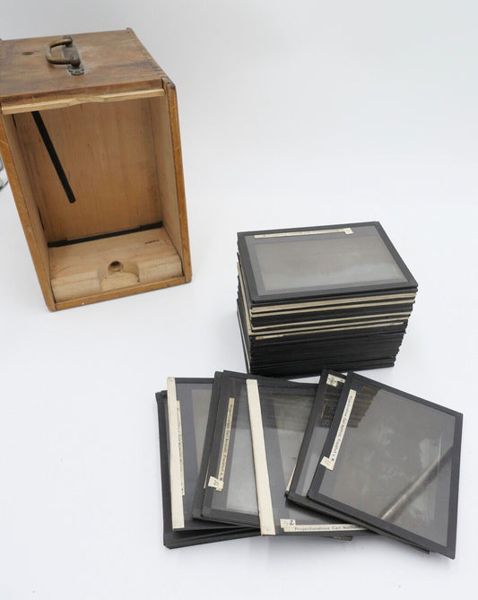 Indien Delhi um 1900 1910 Slider Glas Dias Aufnahmen Bevölkerung Tiere - Antikhandel-Stuttgart