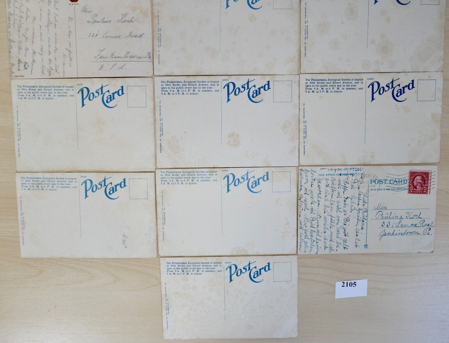 antike Ansichtskarten Postkarten Briefmarke TIERE ZOO Fairmont Park Philadelphia - Antikhandel-Stuttgart