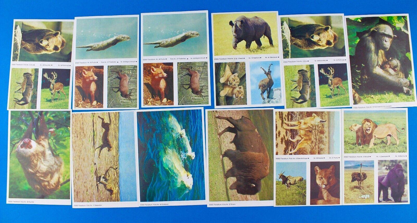 115 Stück Esso Sammelbilder aus Tieralbum Heinz Fielmann 1971 Konvolut Sammlung - Antikhandel-Stuttgart
