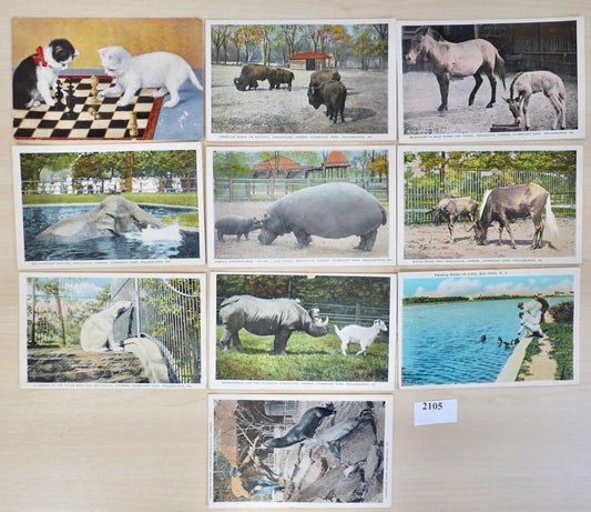 antike Ansichtskarten Postkarten Briefmarke TIERE ZOO Fairmont Park Philadelphia - Antikhandel-Stuttgart