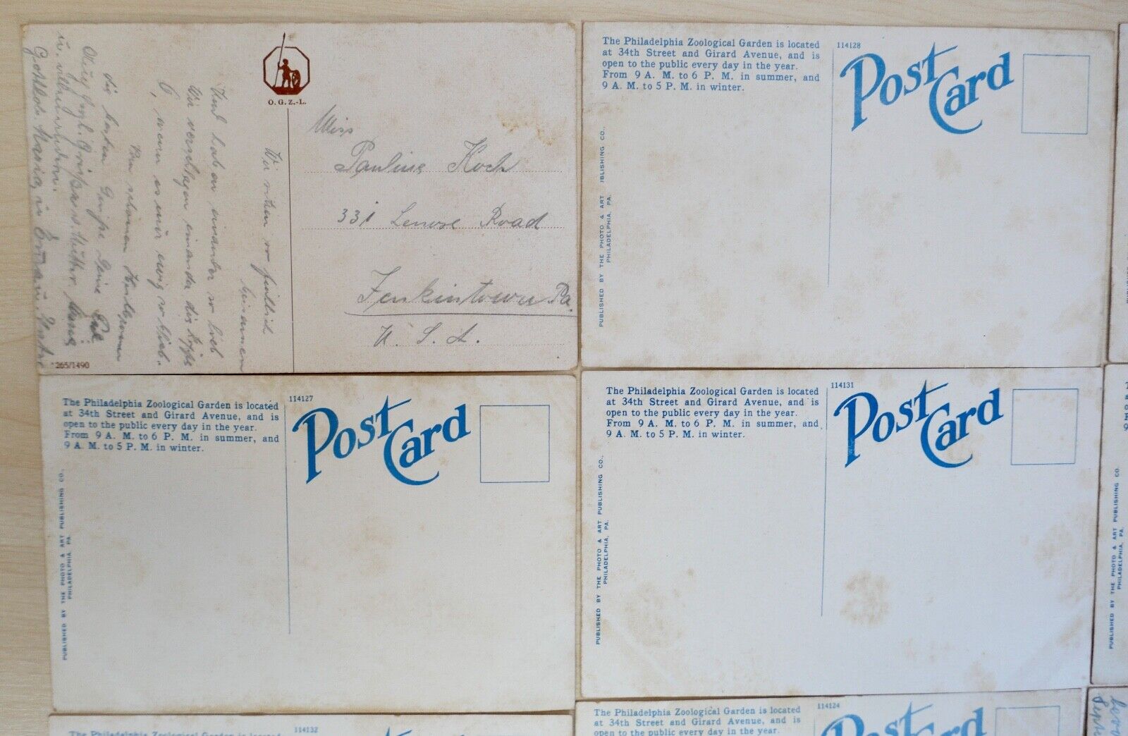 antike Ansichtskarten Postkarten Briefmarke TIERE ZOO Fairmont Park Philadelphia - Antikhandel-Stuttgart