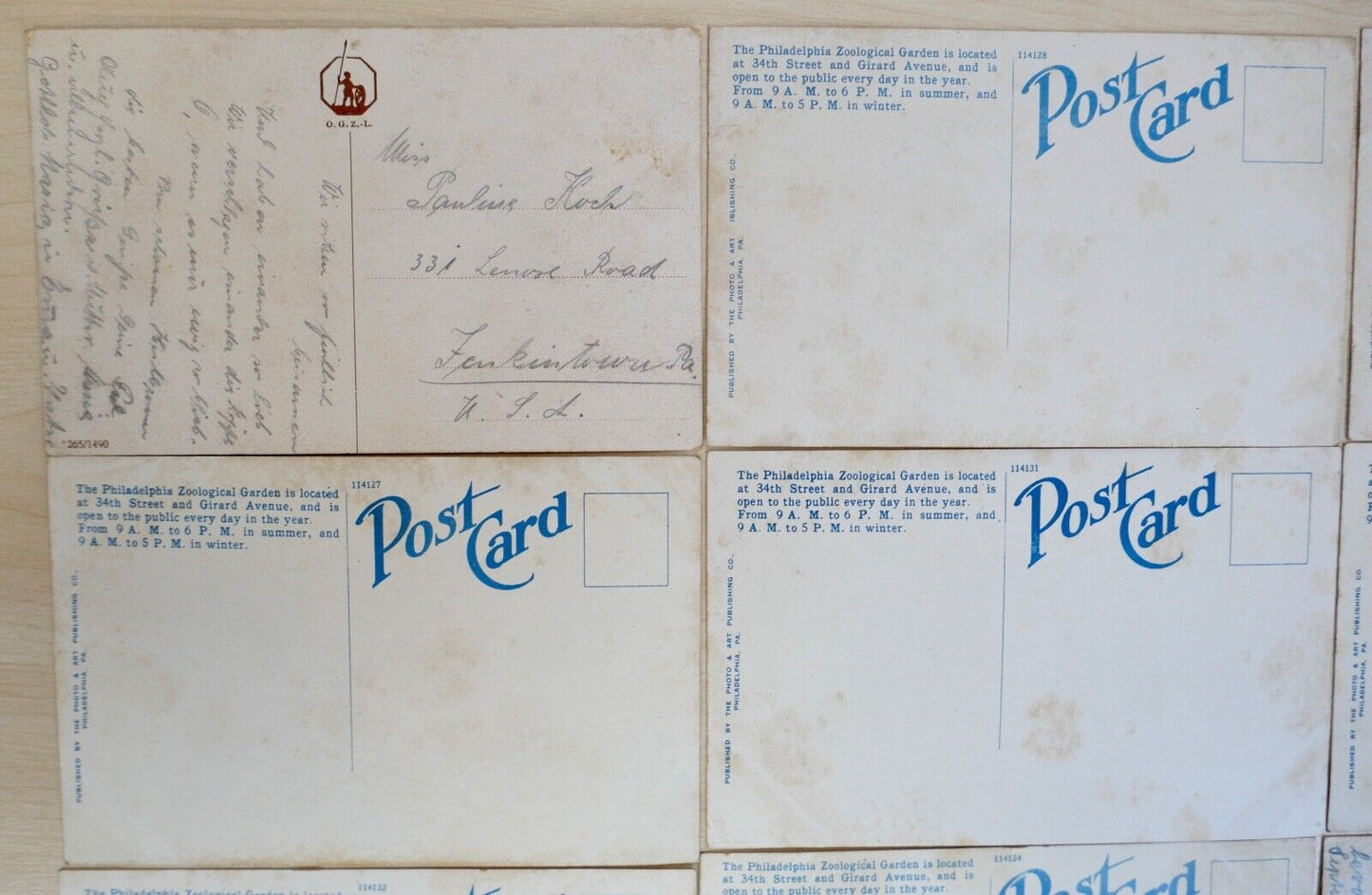 antike Ansichtskarten Postkarten Briefmarke TIERE ZOO Fairmont Park Philadelphia - Antikhandel-Stuttgart