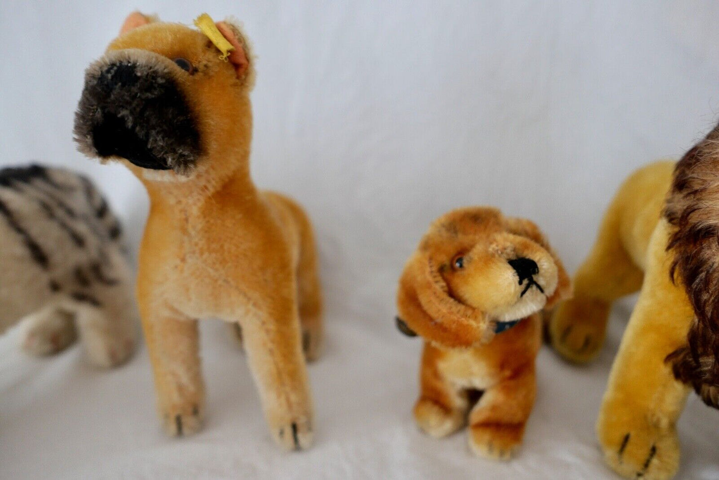 4x alte Steiff Stoff & Plüschtiere Katze Löwe Leo Hund Boxer Dackel - Antikhandel-Stuttgart