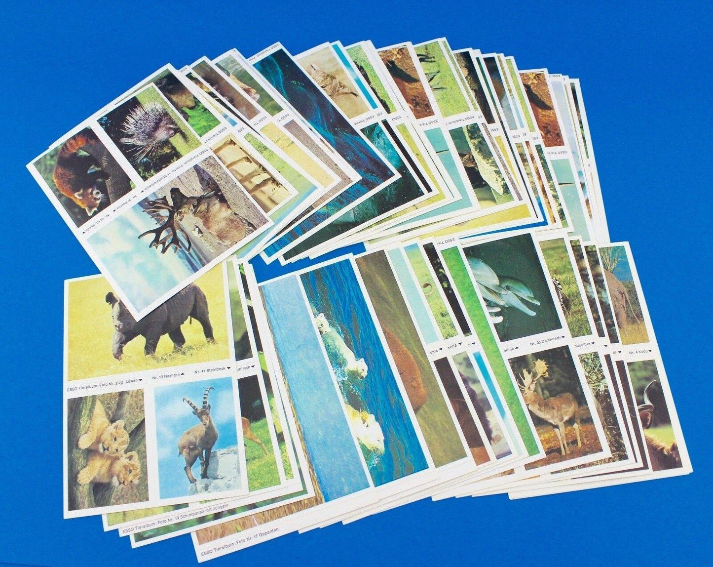 115 Stück Esso Sammelbilder aus Tieralbum Heinz Fielmann 1971 Konvolut Sammlung - Antikhandel-Stuttgart