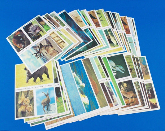 115 Stück Esso Sammelbilder aus Tieralbum Heinz Fielmann 1971 Konvolut Sammlung - Antikhandel-Stuttgart
