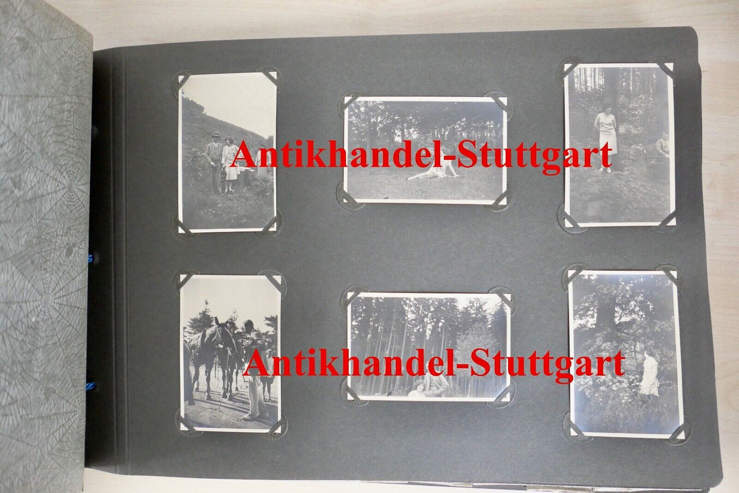 altes Fotoalbum aus 1930 " verliebtes wohlhabendes Paar auf Hochzeitsreise " - Antikhandel-Stuttgart