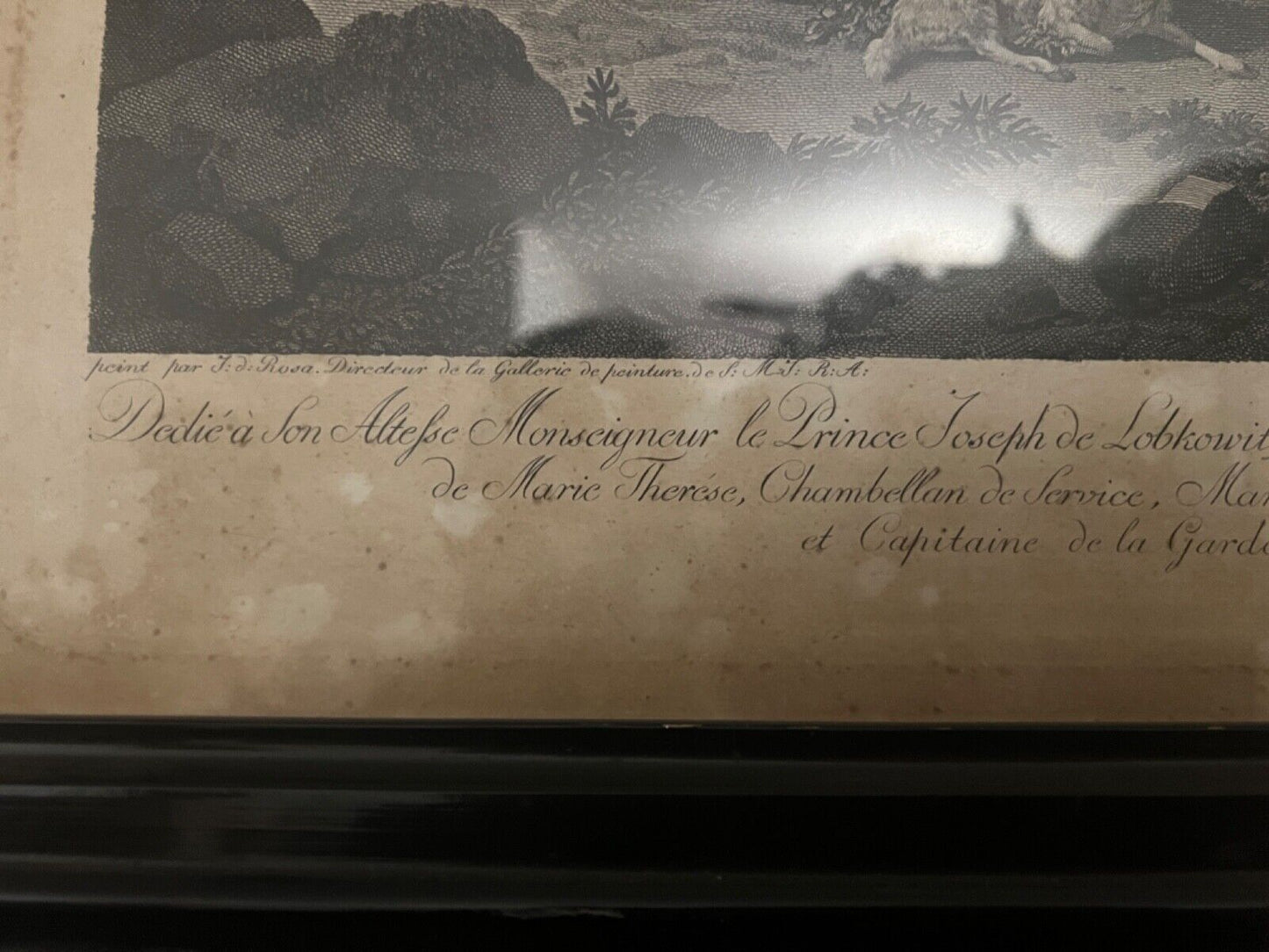 Alte Lithographie gerahmt " WIEN 1788 " Prince et Conte de Sternstein Schäfer - Antikhandel-Stuttgart