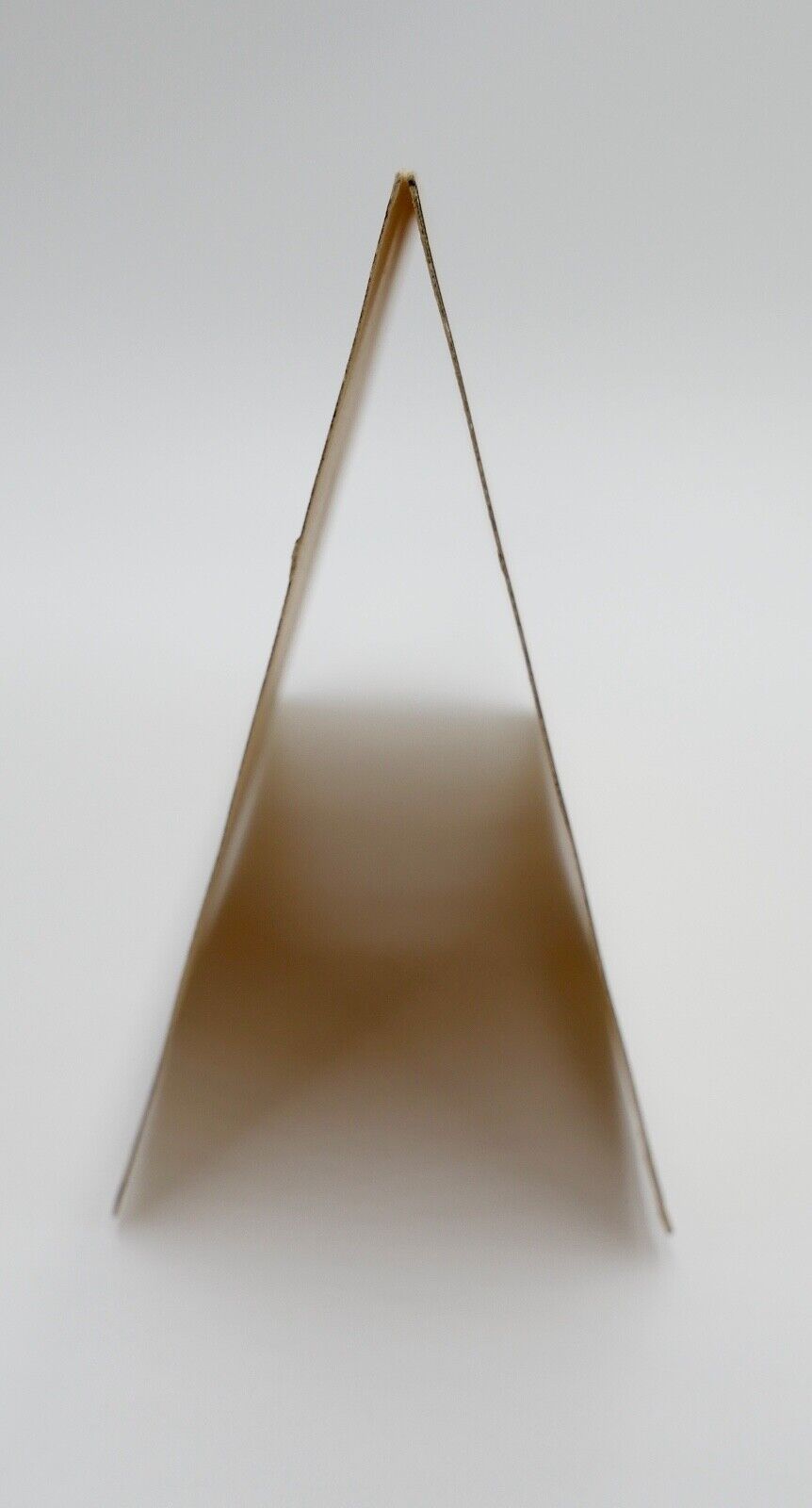 Menükarte Goldene Hochzeit & 50 jähriges Geschäfts Jubiläums 1925 EDUARD STERN - Antikhandel-Stuttgart