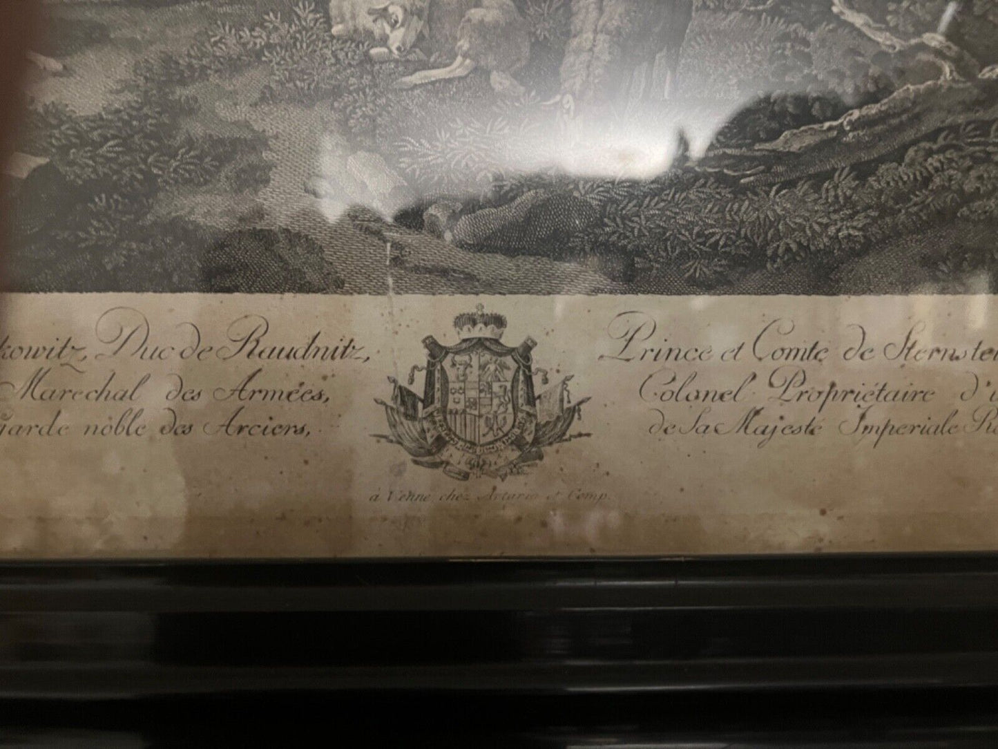 Alte Lithographie gerahmt " WIEN 1788 " Prince et Conte de Sternstein Schäfer - Antikhandel-Stuttgart