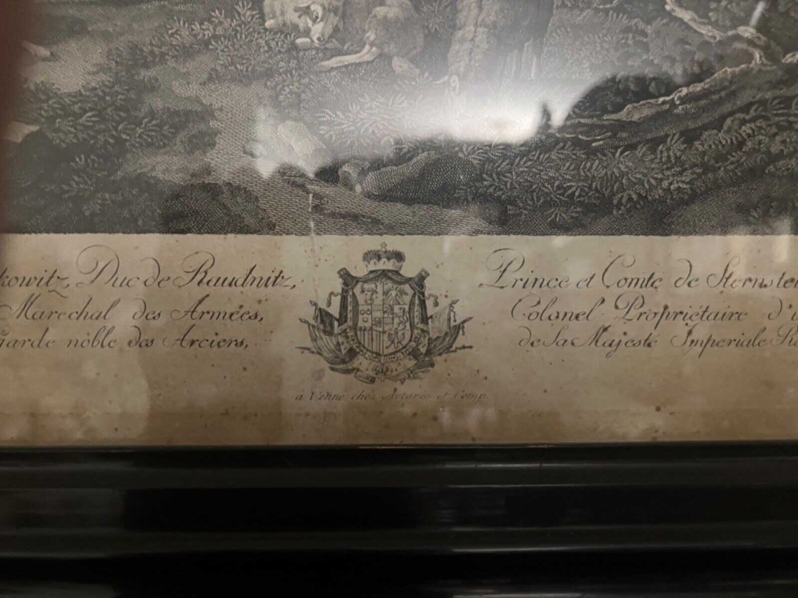 Alte Lithographie gerahmt " WIEN 1788 " Prince et Conte de Sternstein Schäfer - Antikhandel-Stuttgart