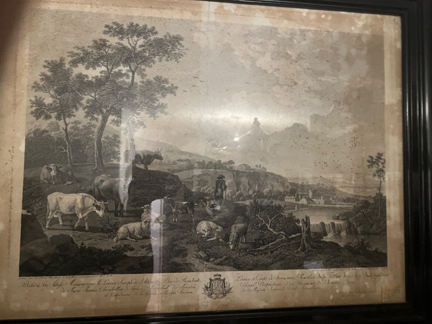 Alte Lithographie gerahmt " WIEN 1788 " Prince et Conte de Sternstein Schäfer - Antikhandel-Stuttgart