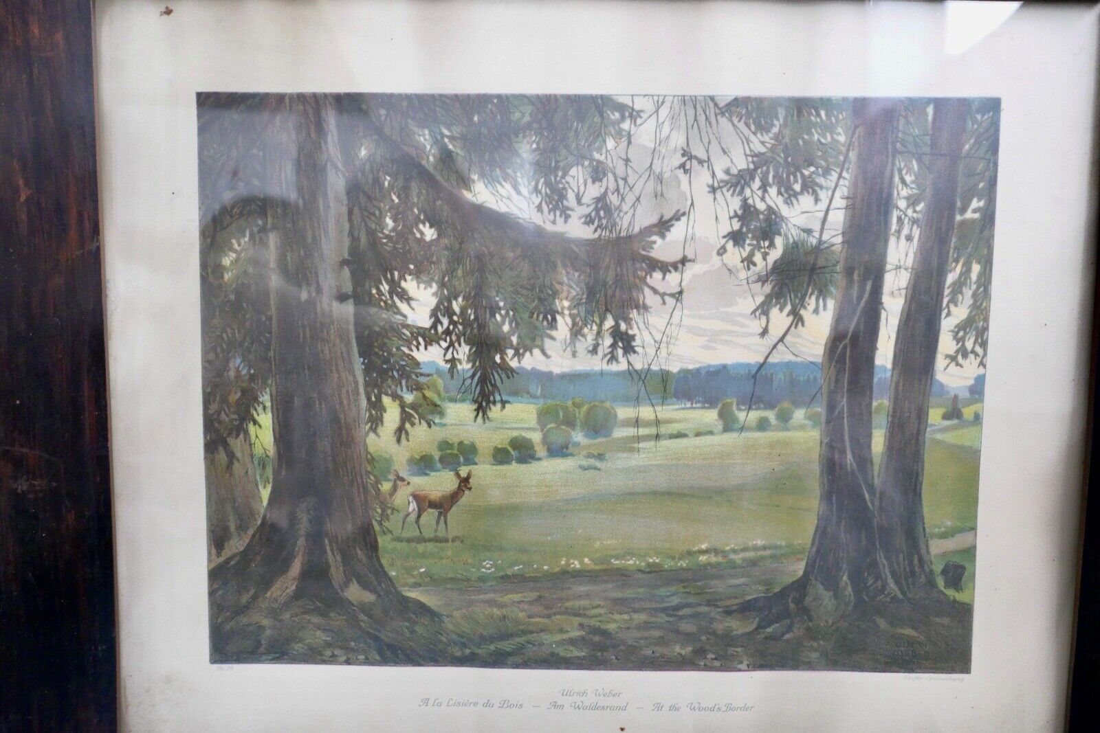ULRICH WEBER Verlag Leipzig Farb - Lithographie " am Waldesrand " signiert - Antikhandel-Stuttgart