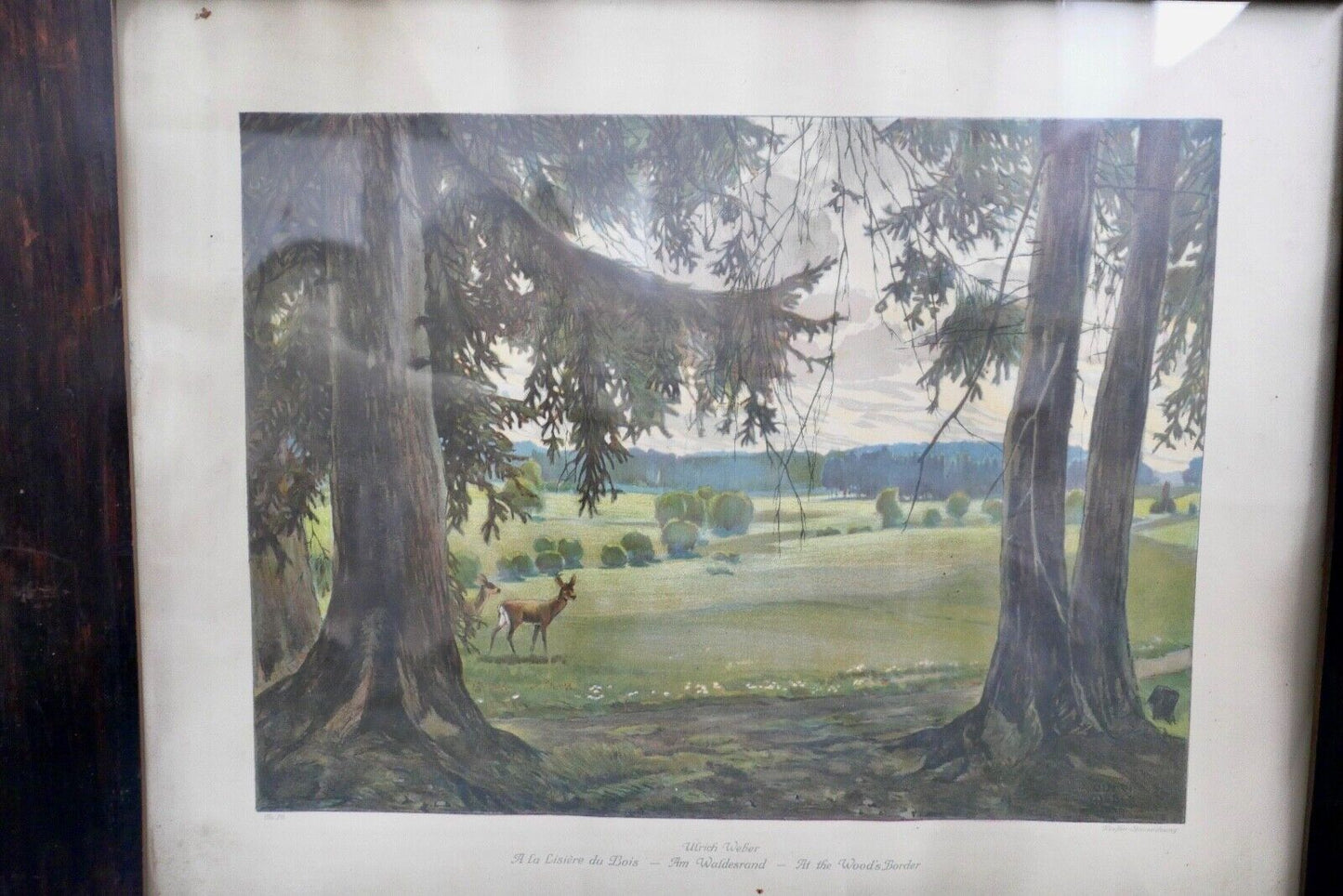 ULRICH WEBER Verlag Leipzig Farb - Lithographie " am Waldesrand " signiert - Antikhandel-Stuttgart