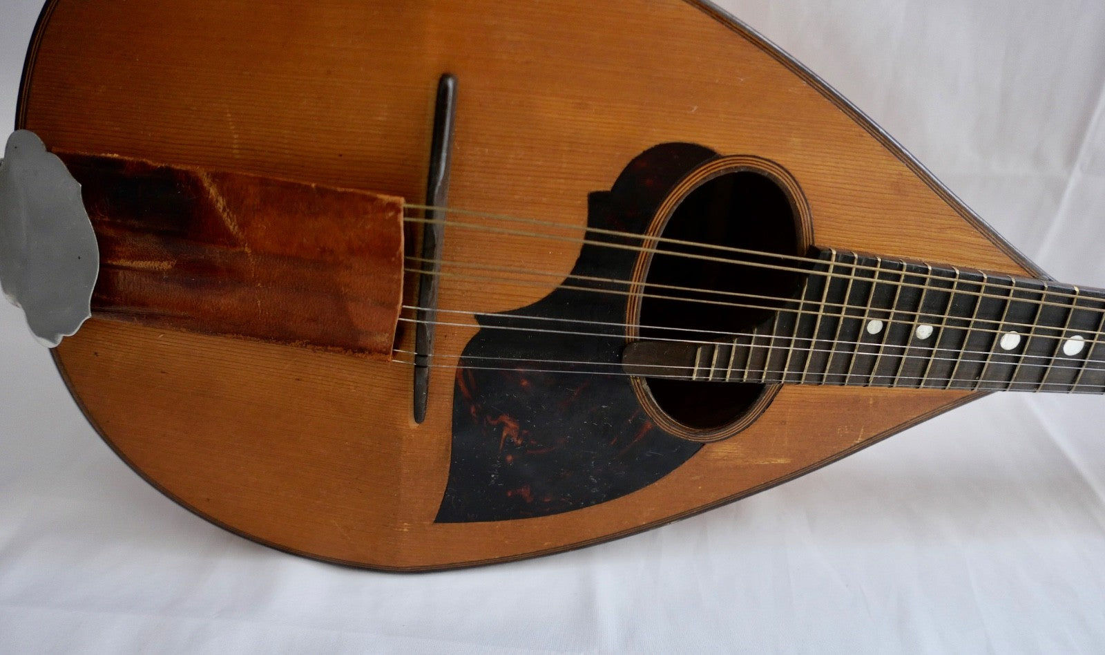 Mandoline Luigi Embergher 1933 Roma Italien