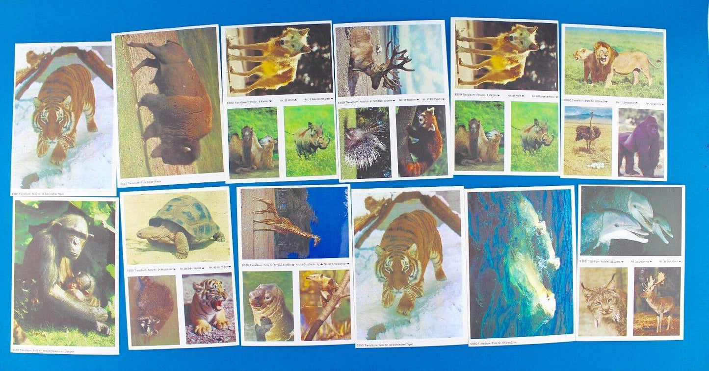 115 Stück Esso Sammelbilder aus Tieralbum Heinz Fielmann 1971 Konvolut Sammlung - Antikhandel-Stuttgart