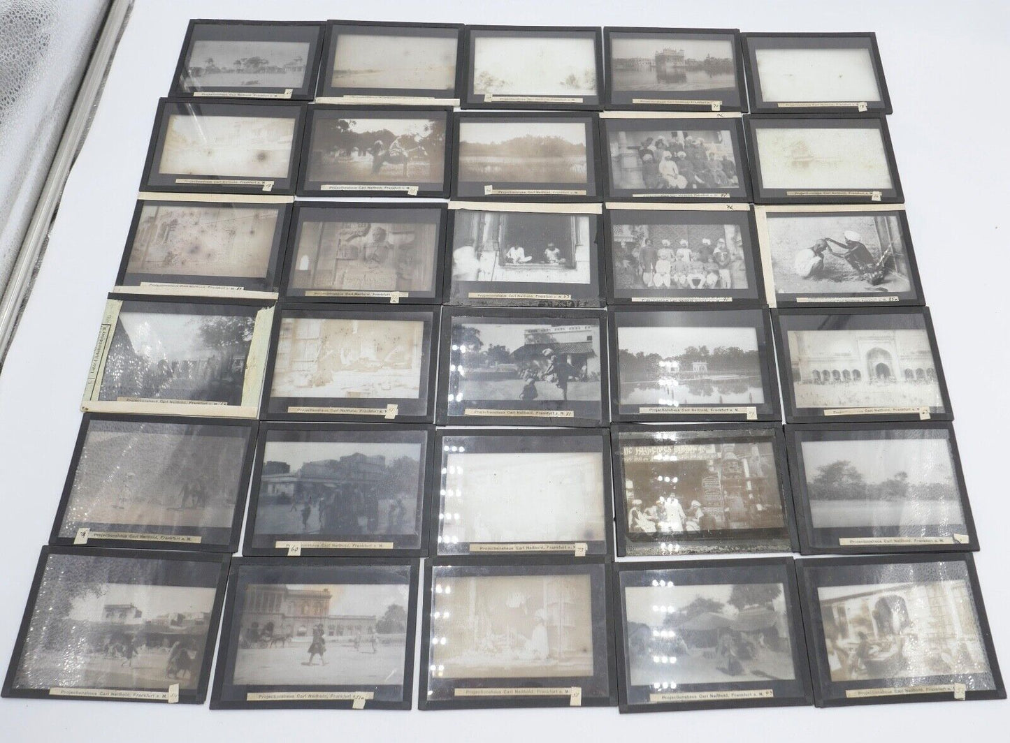 Indien Delhi um 1900 1910 Slider Glas Dias Aufnahmen Bevölkerung Tiere - Antikhandel-Stuttgart