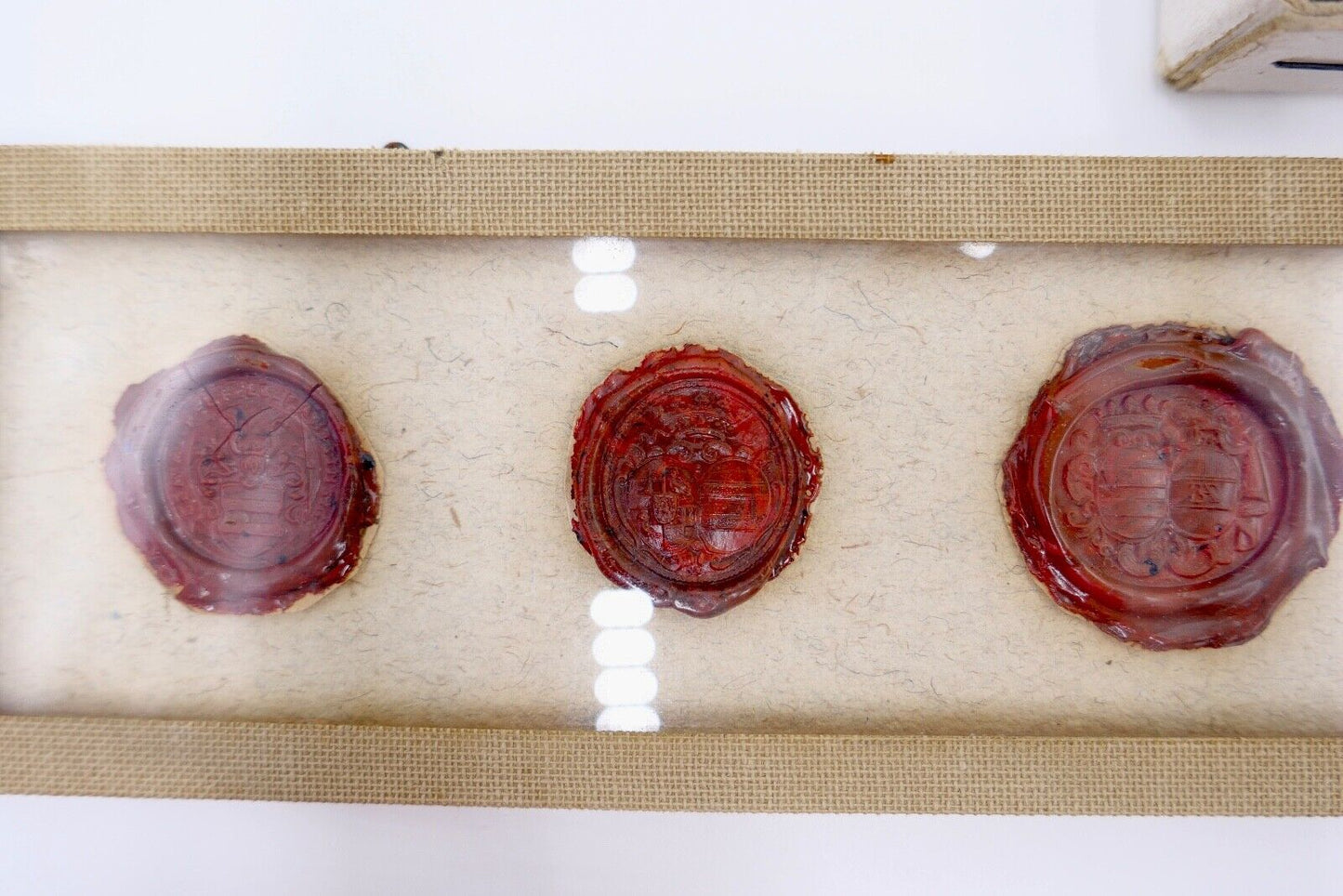 Alte & Antike Wachs Siegel Sammlung 8 Stück hinter Glas Asperg Sigillum 1692 - Antikhandel-Stuttgart