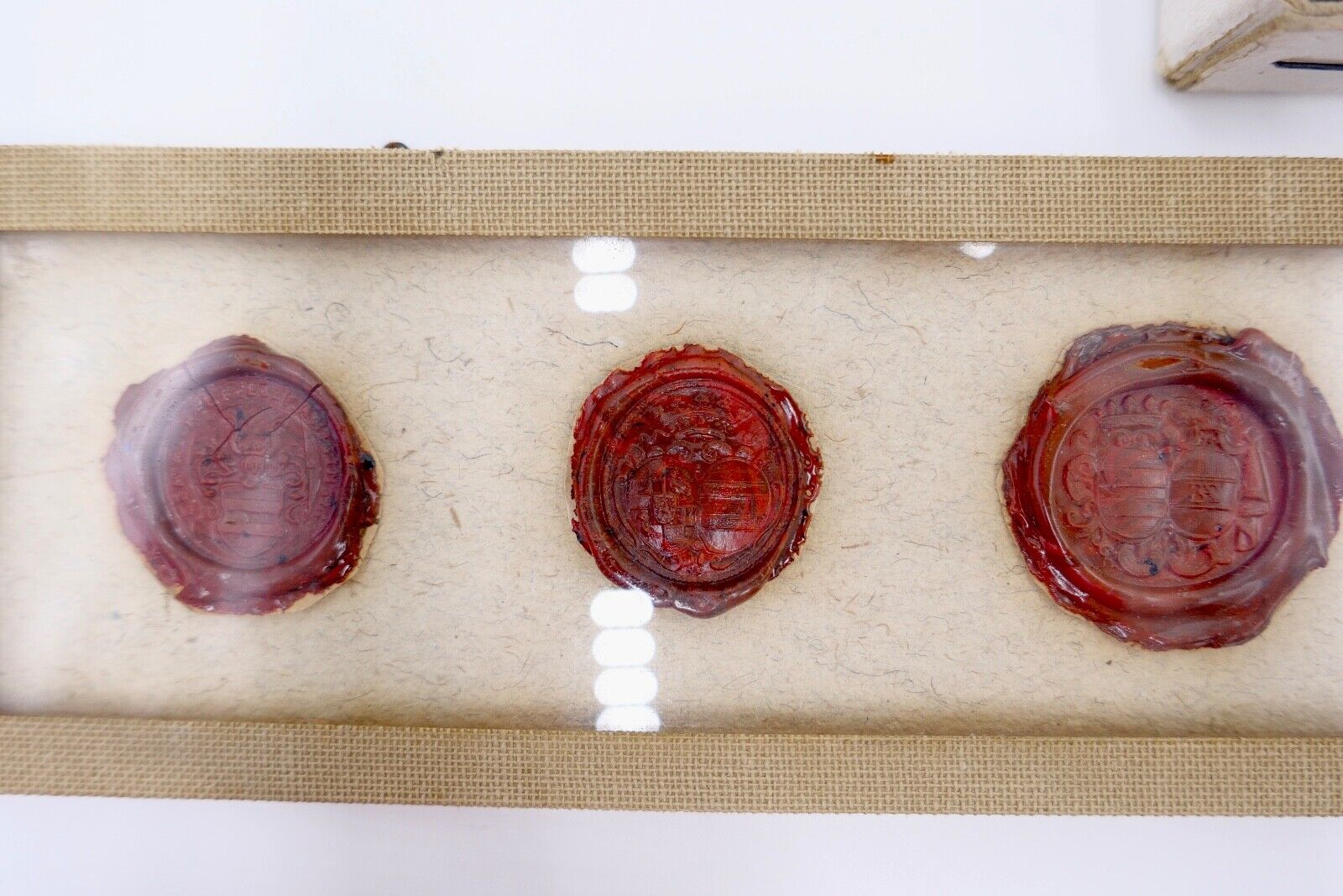 Alte & Antike Wachs Siegel Sammlung 8 Stück hinter Glas Asperg Sigillum 1692 - Antikhandel-Stuttgart