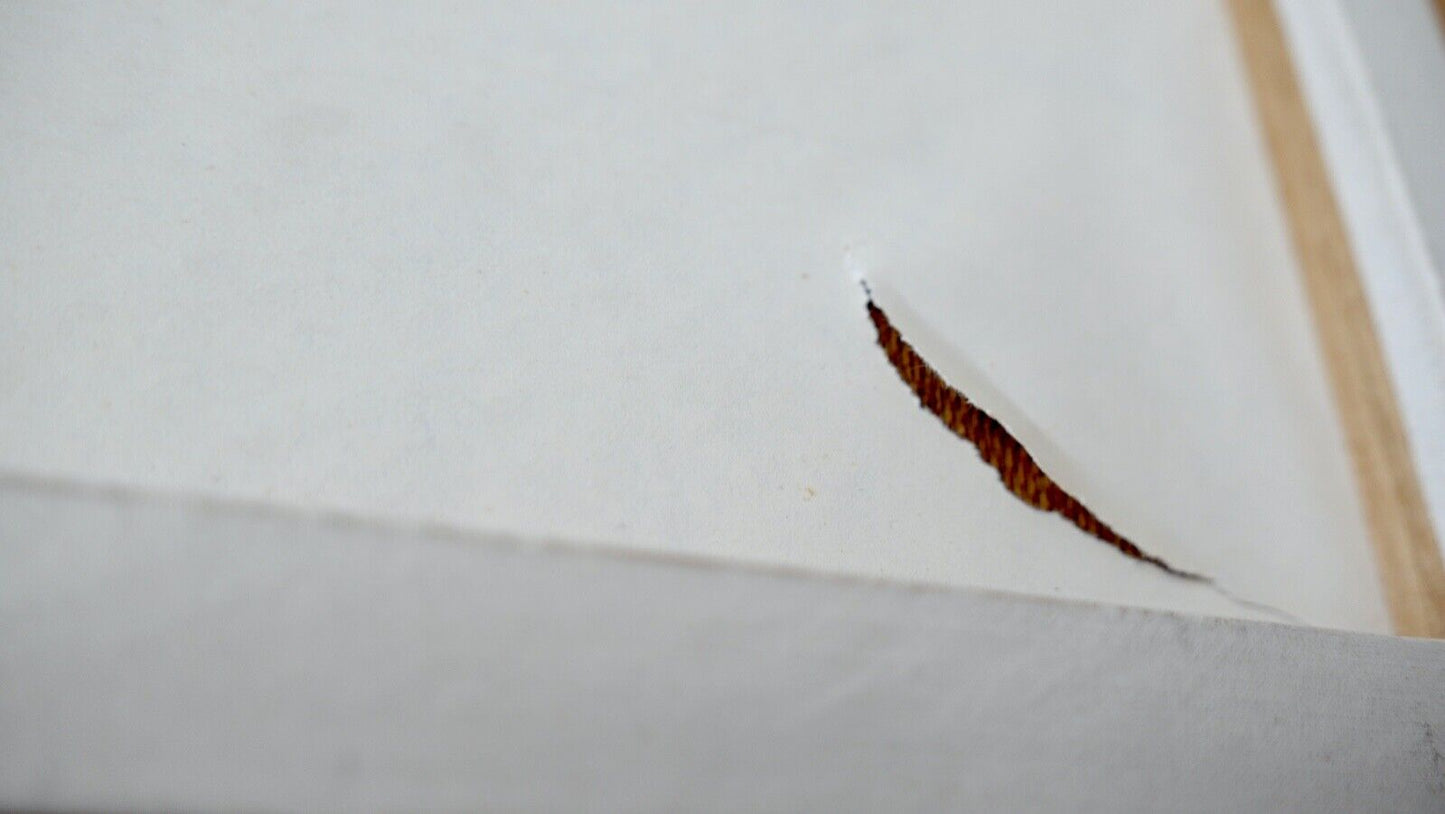 5 Bilder Gemälde Druck Mercedes Daimler Benz Limitierte Kinder Serie 40x30cm - Antikhandel-Stuttgart