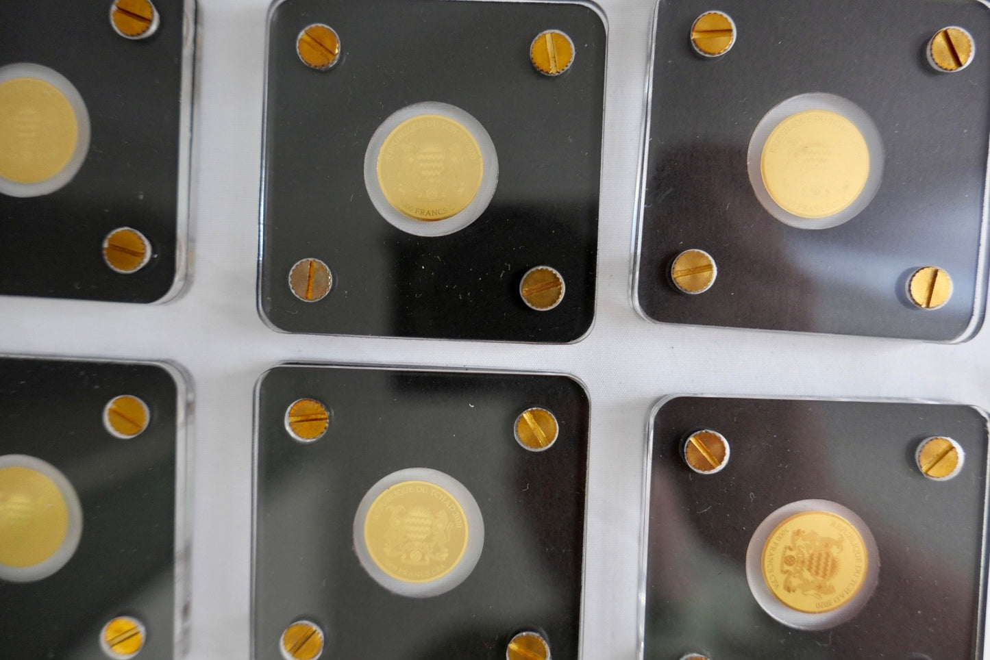 8 x Goldmünzen 3000 Francs 1/500 oz 2020 Subpolare Zone Eisbär