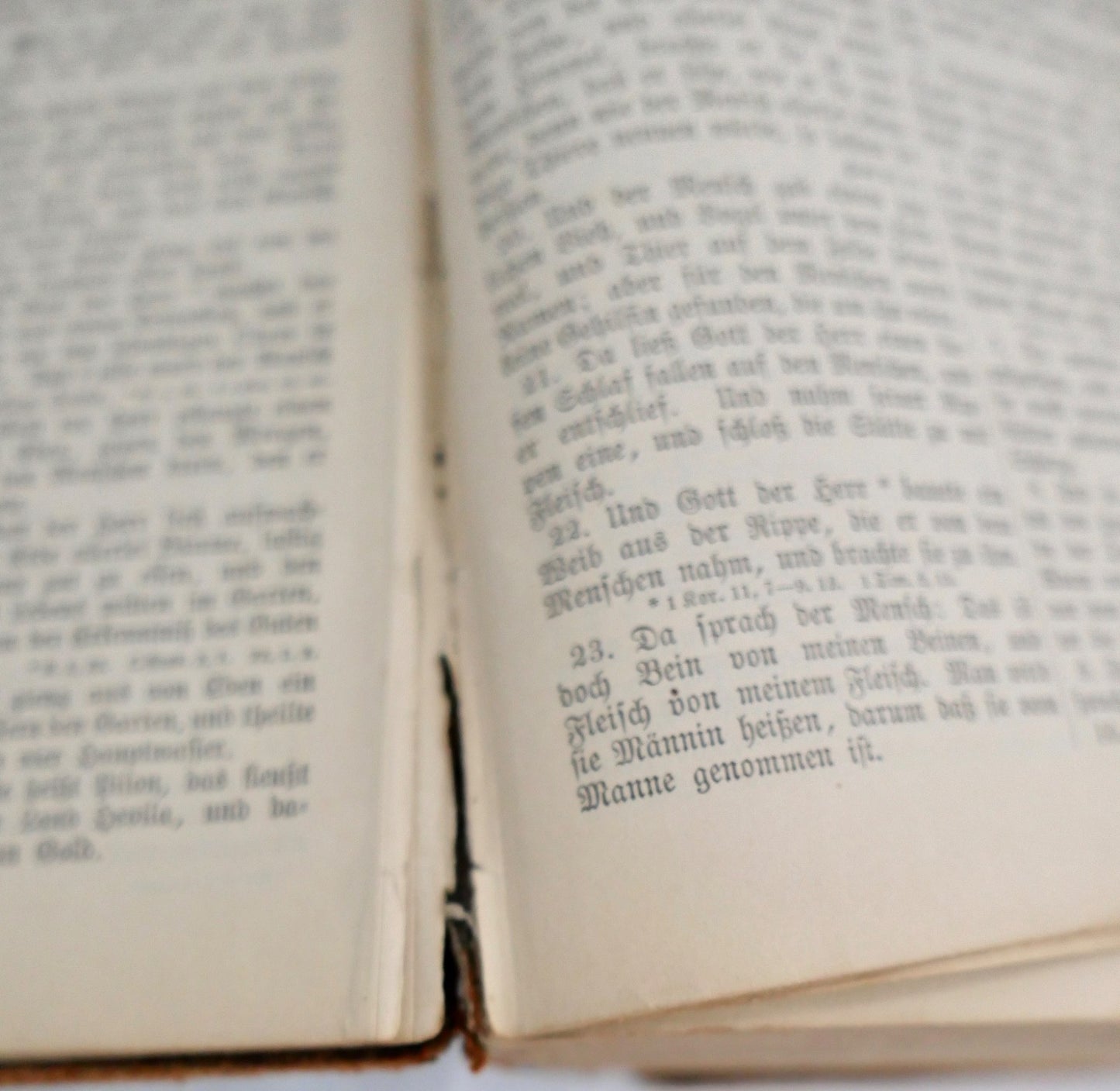 Luther Bibel 1885 Stuttgart Prachtausgabe altes neues Testament Heilige Schrift