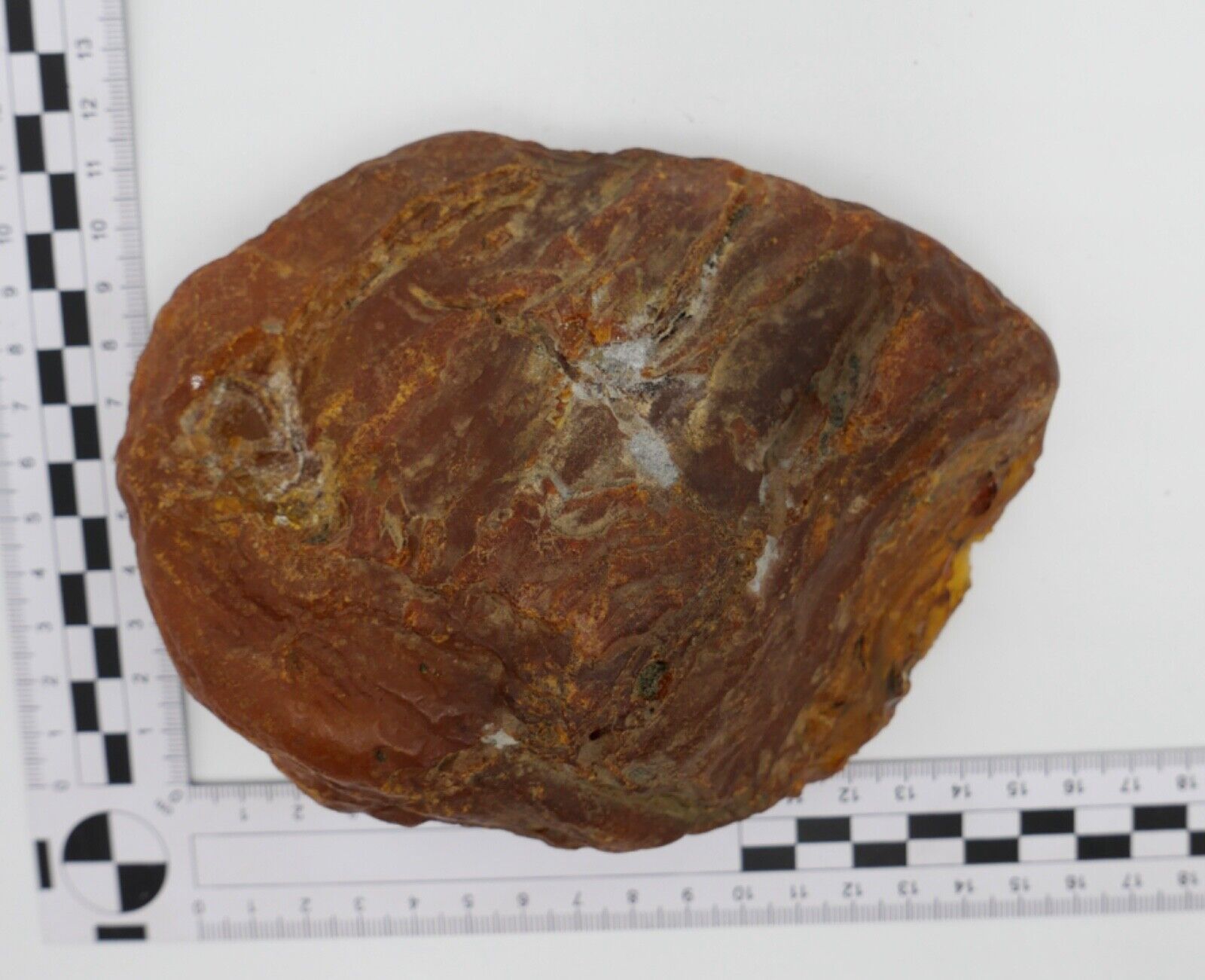 Bernstein Rohbernstein 375 Gramm 16x12x6 cm - Antikhandel-Stuttgart