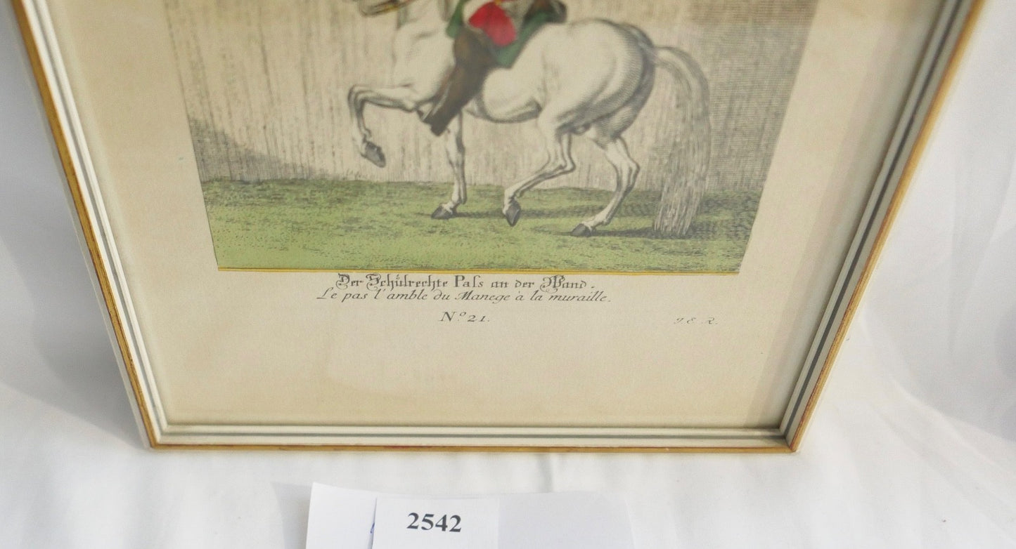 Neue Reit-Schul Nr 21 Der Schulrechte Pafs an der Wand Johann Elias Ridinger