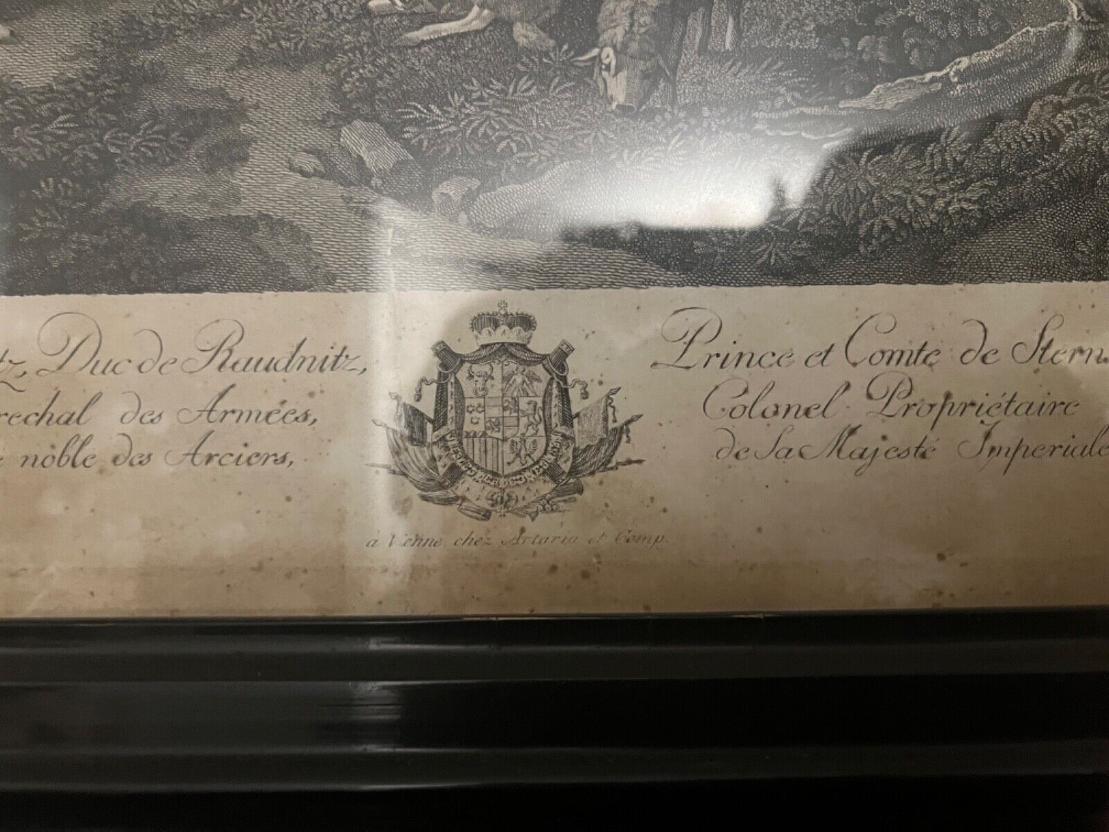 Alte Lithographie gerahmt " WIEN 1788 " Prince et Conte de Sternstein Schäfer - Antikhandel-Stuttgart