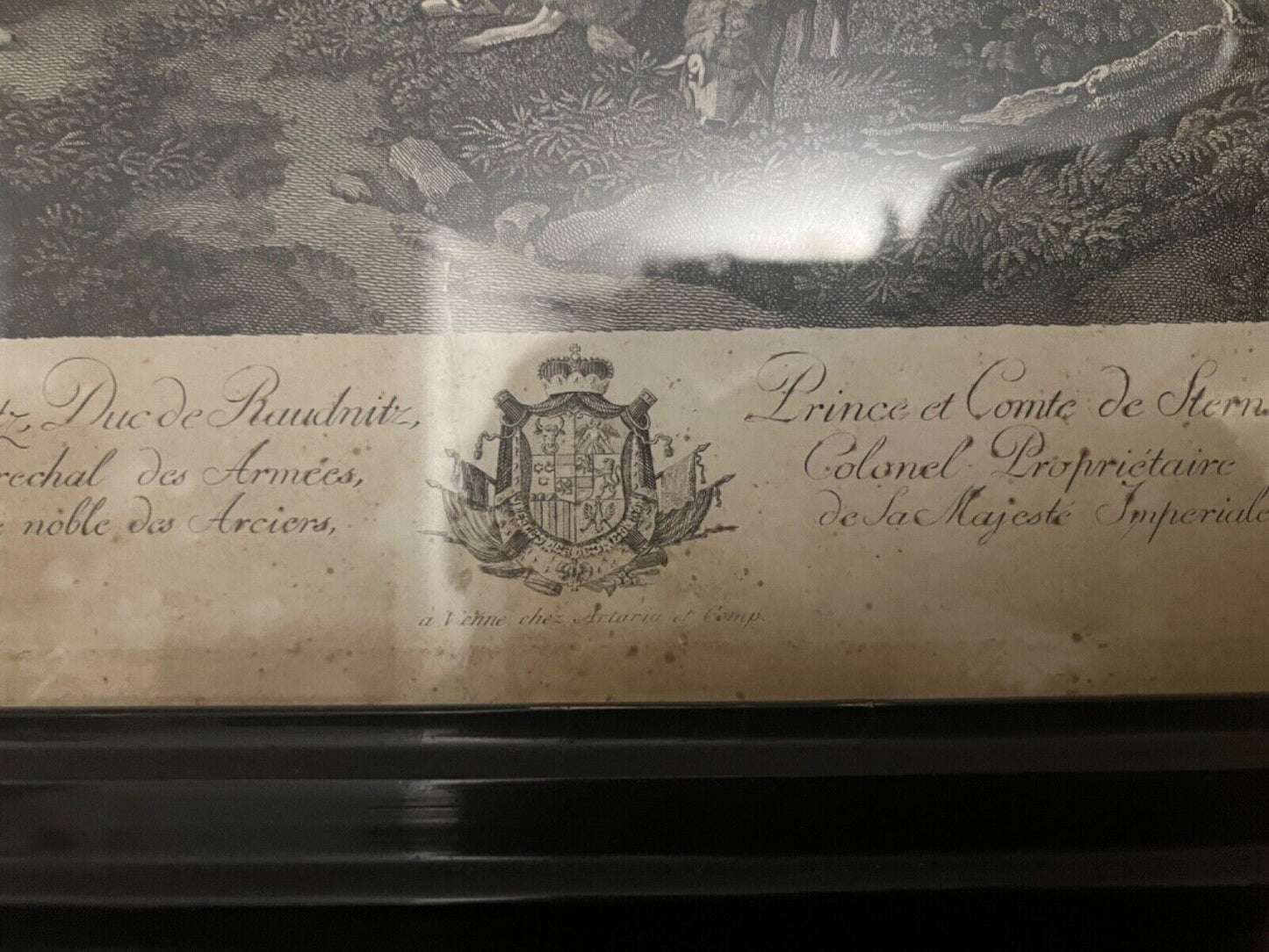 Alte Lithographie gerahmt " WIEN 1788 " Prince et Conte de Sternstein Schäfer - Antikhandel-Stuttgart