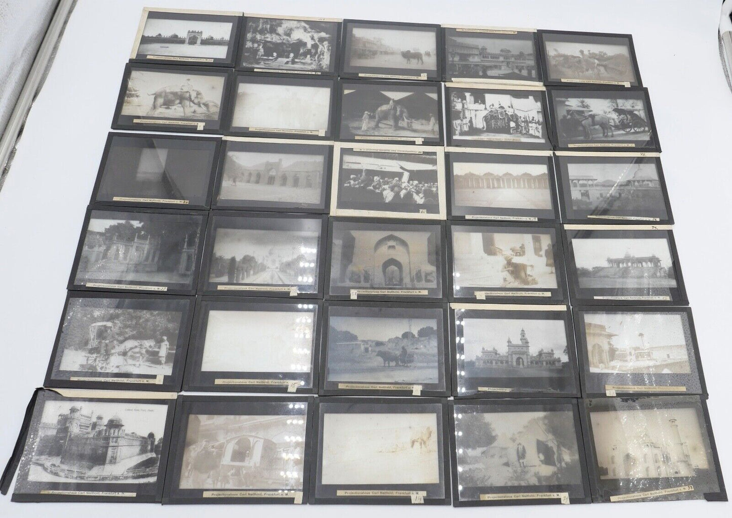 Indien Delhi um 1900 1910 Slider Glas Dias Aufnahmen Bevölkerung Tiere - Antikhandel-Stuttgart