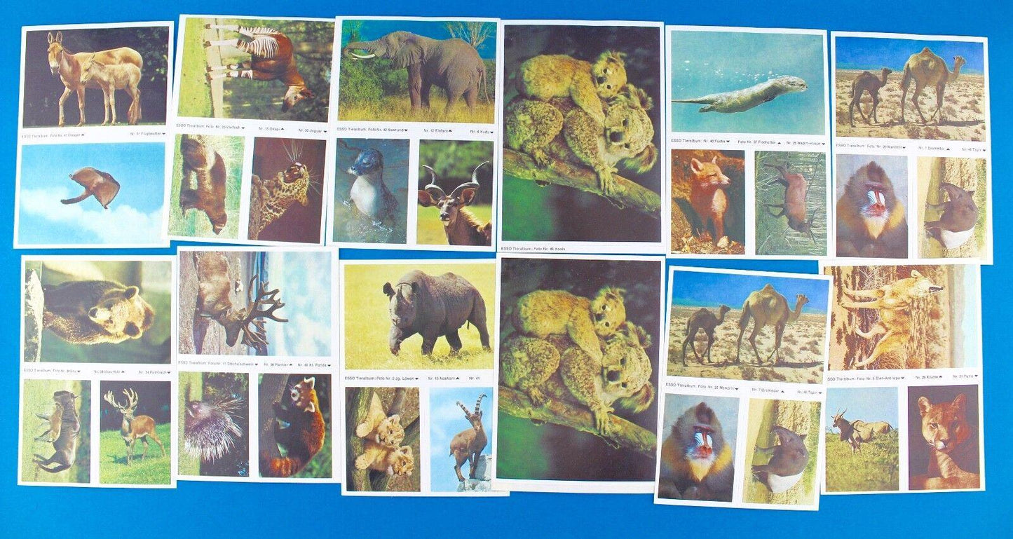 115 Stück Esso Sammelbilder aus Tieralbum Heinz Fielmann 1971 Konvolut Sammlung - Antikhandel-Stuttgart