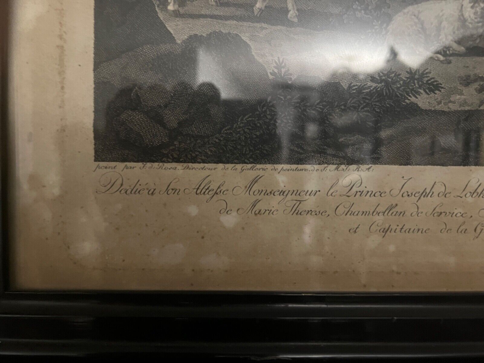 Alte Lithographie gerahmt " WIEN 1788 " Prince et Conte de Sternstein Schäfer - Antikhandel-Stuttgart