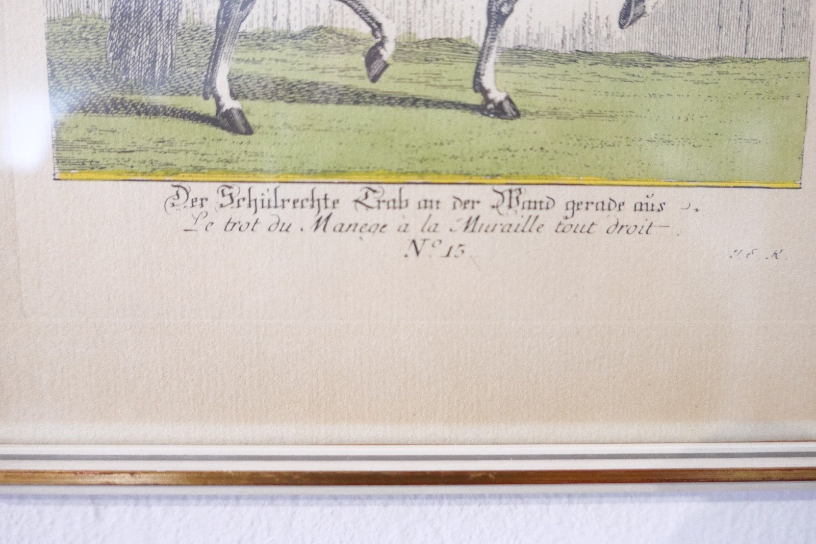 Die Reitschule Nr. 15 Der Schulrechte Trab an der Wand Johann Elias Ridinger