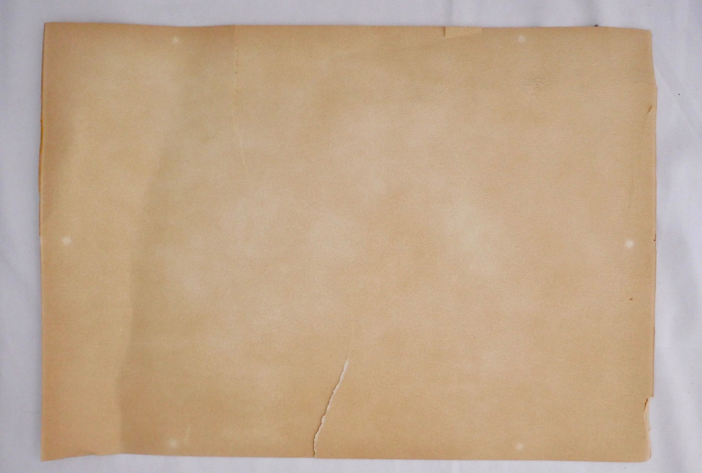 David Labcovski Lithographie Dreißig Jahre nachdem die Welt verschwunden war