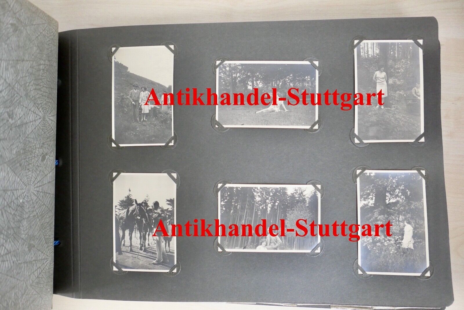 altes Fotoalbum aus 1930 " verliebtes wohlhabendes Paar  auf Hochzeitsreise "