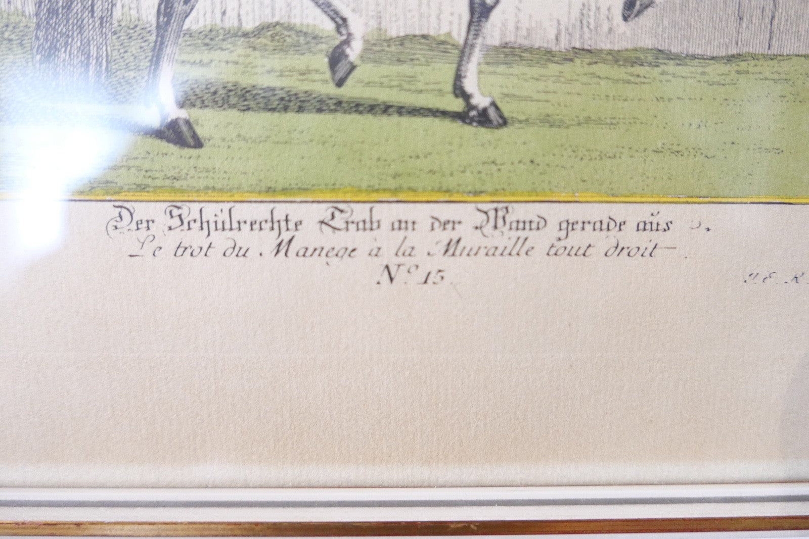 Die Reitschule Nr. 15 Der Schulrechte Trab an der Wand Johann Elias Ridinger