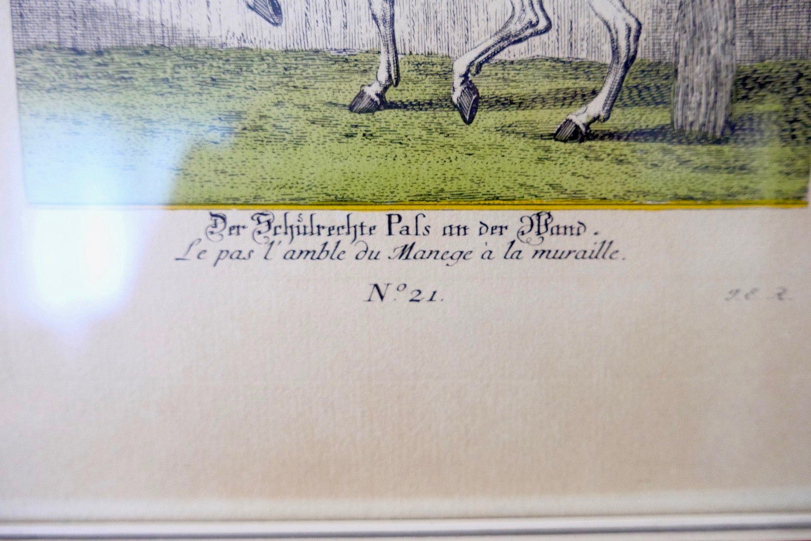 Neue Reit-Schul Nr 21 Der Schulrechte Pafs an der Wand Johann Elias Ridinger