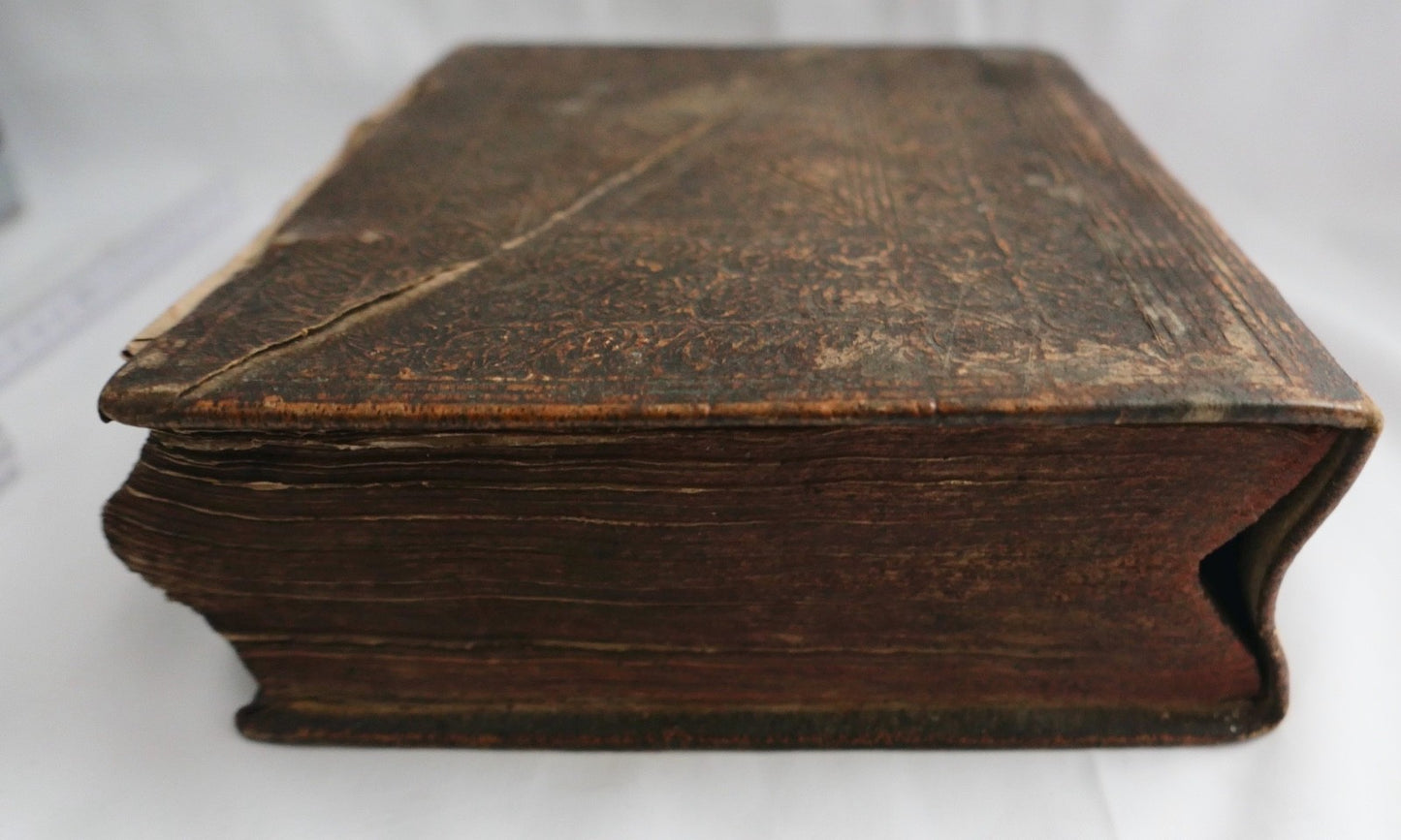 Antike Bibel 1834 Brastberger Evangelische Zeugnisse der Wahrheit Reutlingen