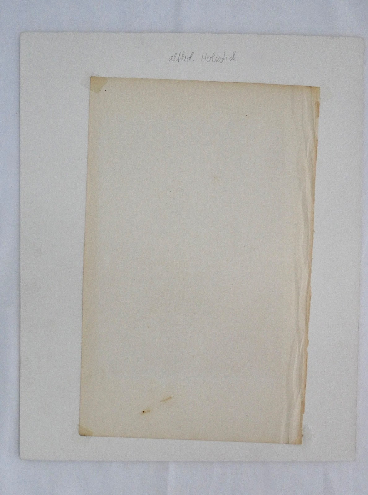 alter Farb Holzstich Eule Scops-eared Owl in OVP Zwergohreule Otus scops